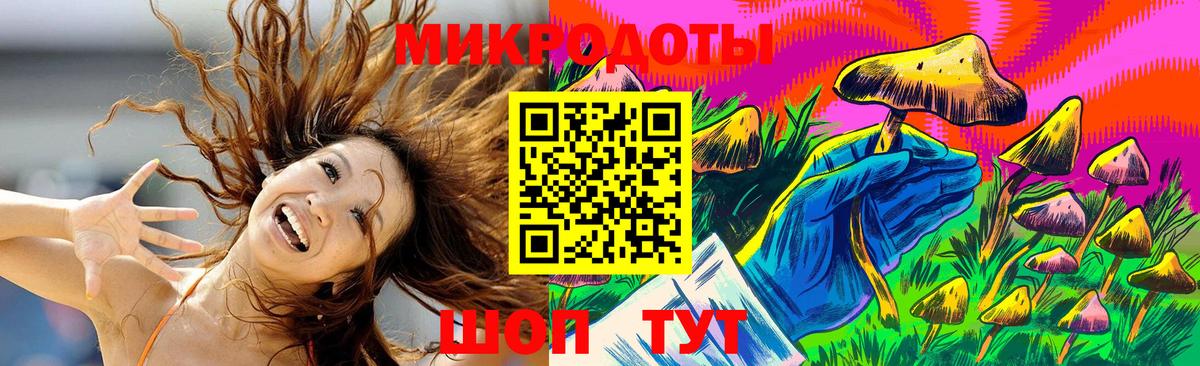 Галлюциногенные грибы Cubensis  Вход с VPN  Новокубанск 